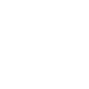 Content Creation