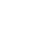 IT Technical